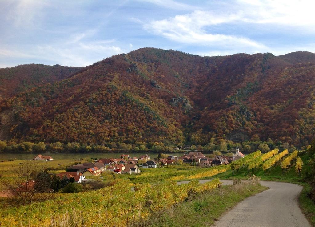 Apartamento Weingut Langmayer Wösendorf Exterior foto